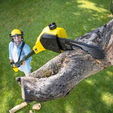 Best Sod Installation  in Rancho Cordova, CA